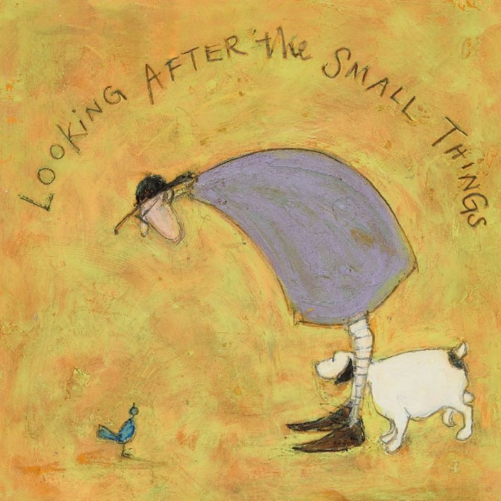 Looking after the small things - Sam Toft